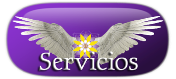 servicios